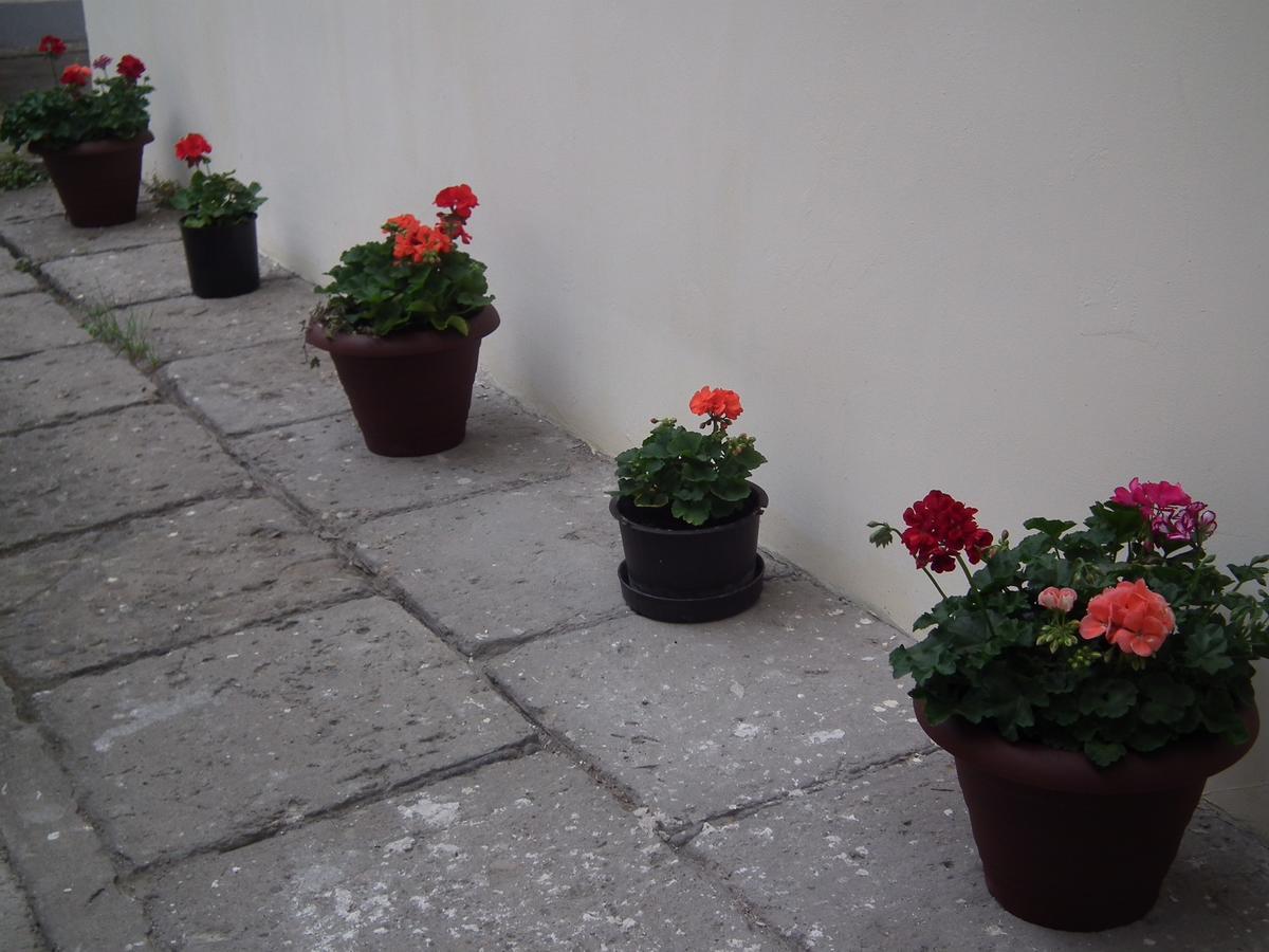 Apartament Bbb48 Cluj-Napoca Exterior foto